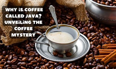 a cup of jo|why is coffee called java.